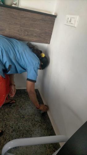 Madhavi Management Servaices-44